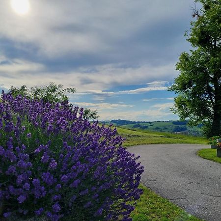 Unterbrandlberg Apartment Steinbach an der Steyr Luaran gambar